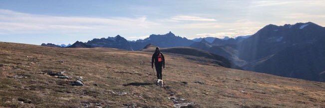 problop's profile banner image