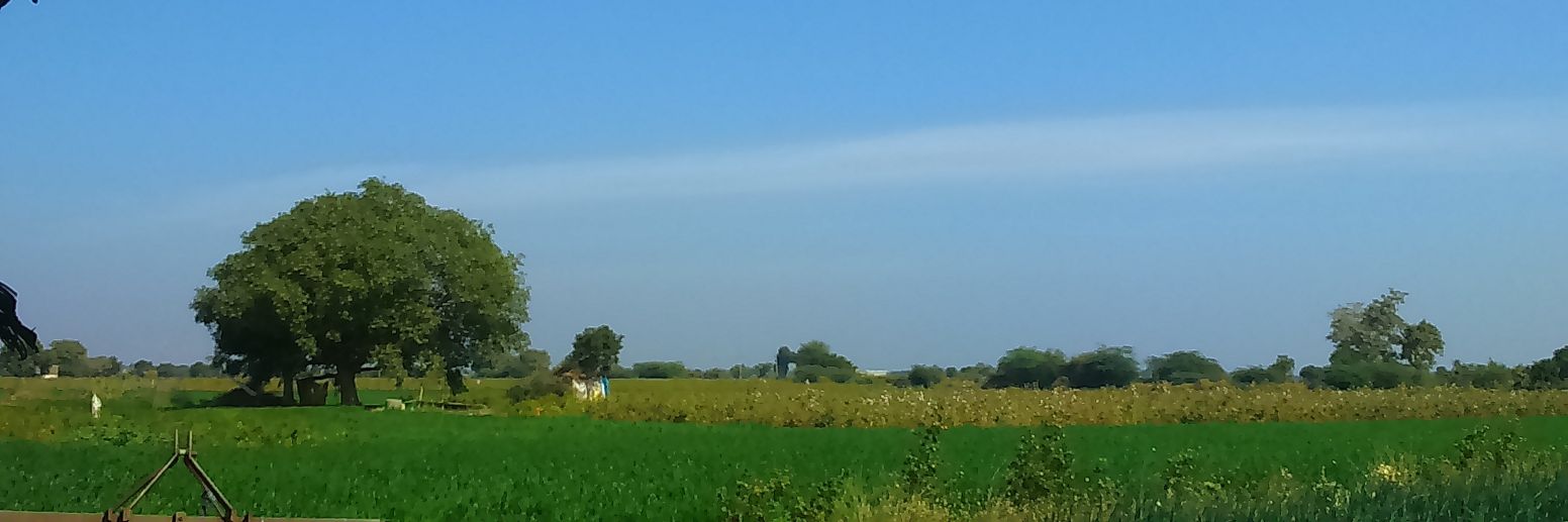 ravlo_'s profile banner image