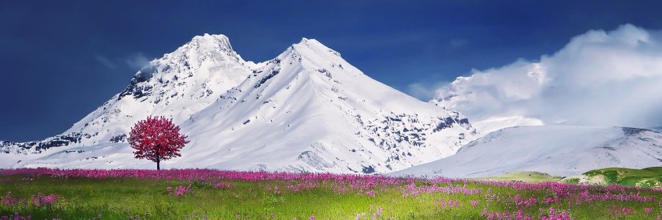 rameshi1's profile banner image