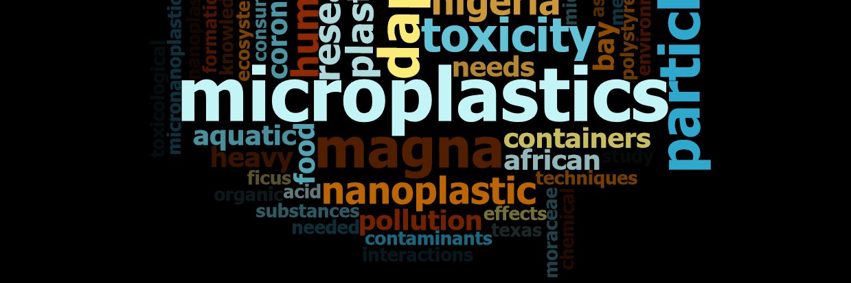 Oluniyi O. Fadare (Ph.D.) banner