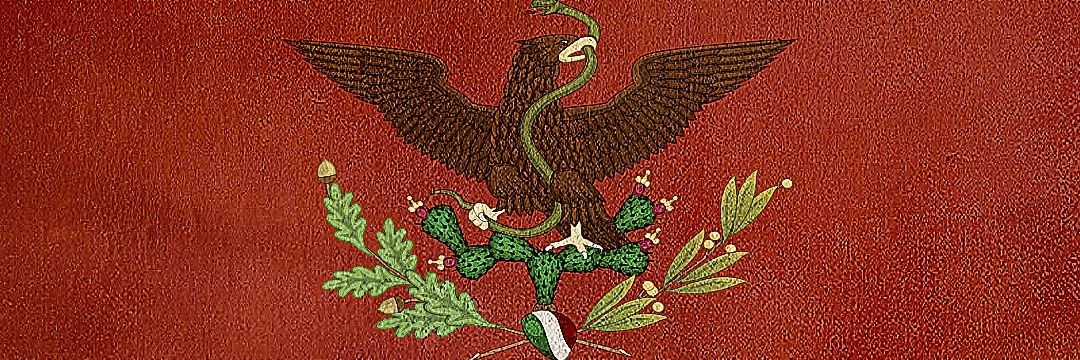 Saúl Martínez Tinoco banner