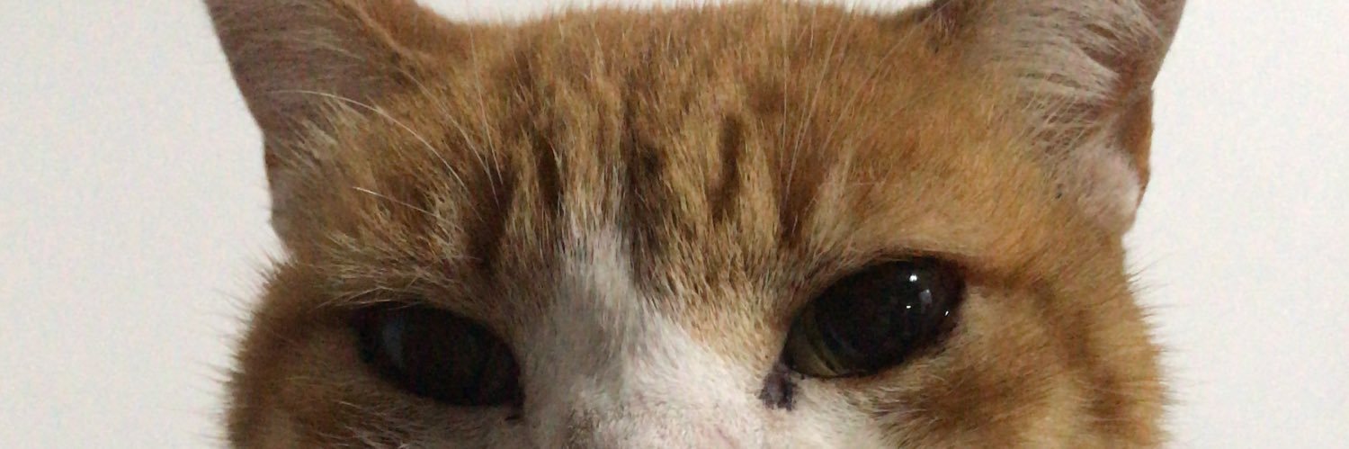 OctavioZanou's profile banner image
