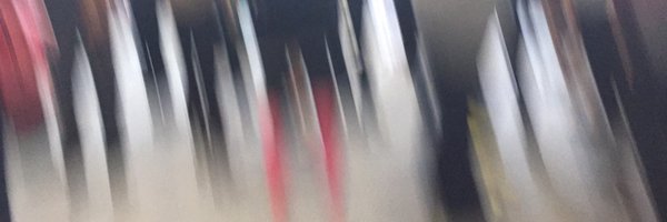 noraelers Profile Banner