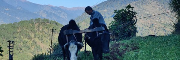 diggieraja Profile Banner