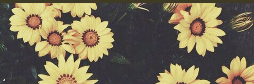 rhianjacksonXx's profile banner image