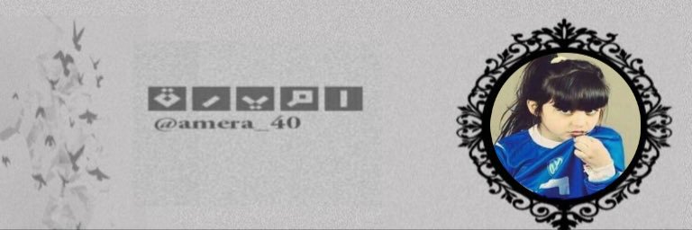 amera_40's profile banner image