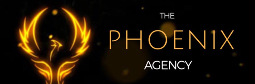 DroneVideoinAZ's profile banner image