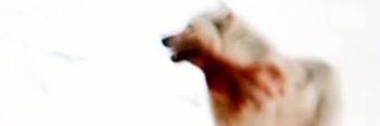 Spvce Cvdet banner