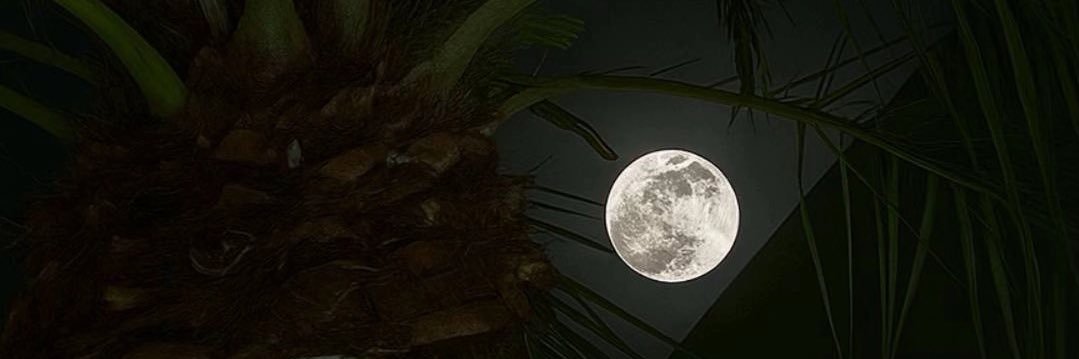 ipp_72's profile banner image