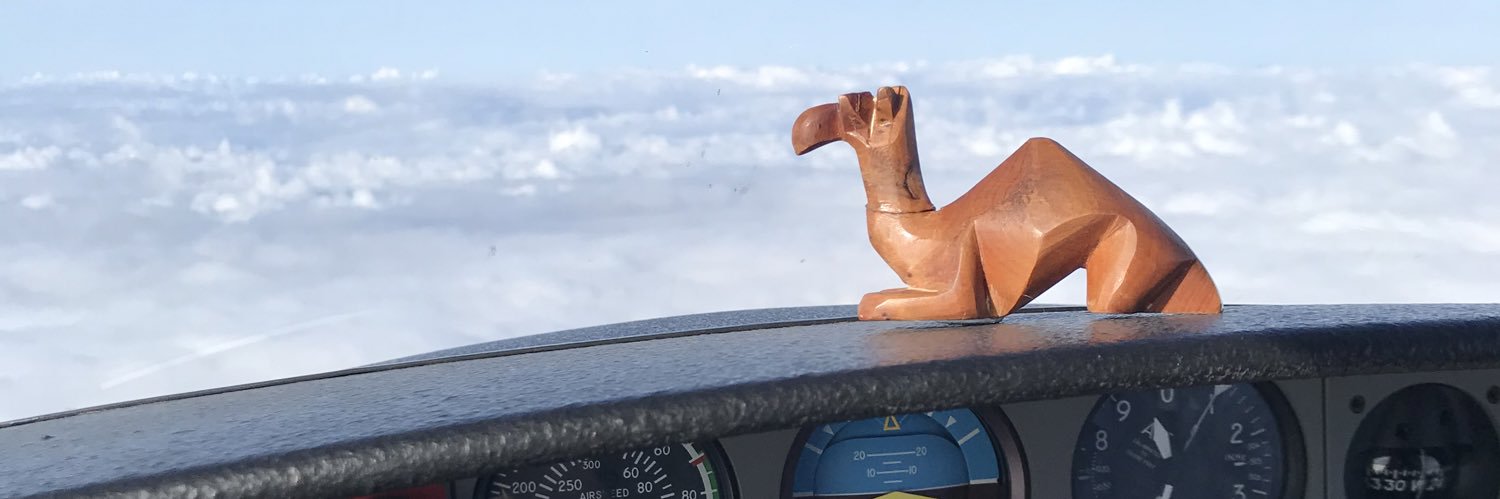tomattolano's profile banner image
