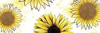 paz_llamas's profile banner image