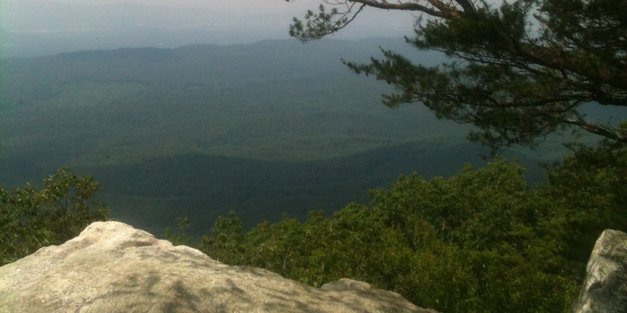 bama4212's profile banner image