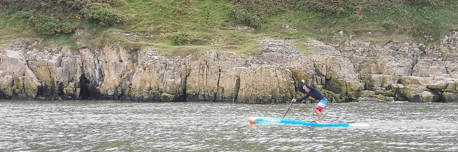 john lugg old viking banner