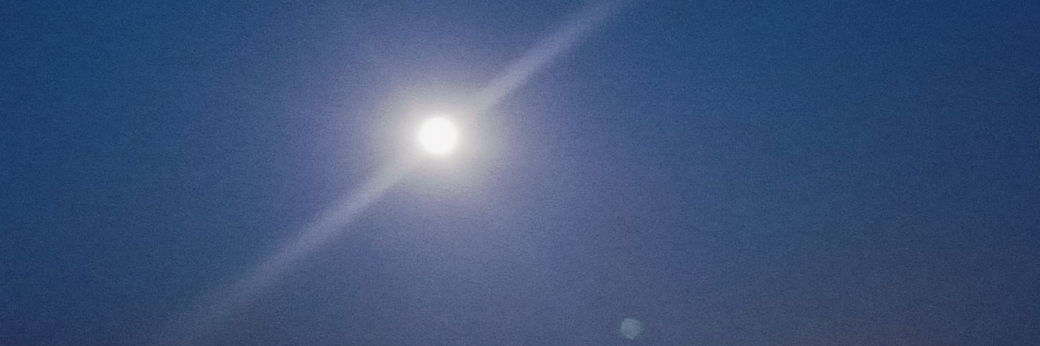mhmtshnsvm's profile banner image