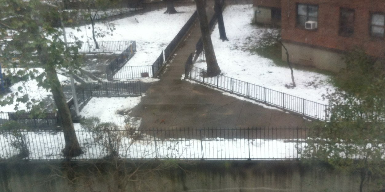 أبو محمد banner