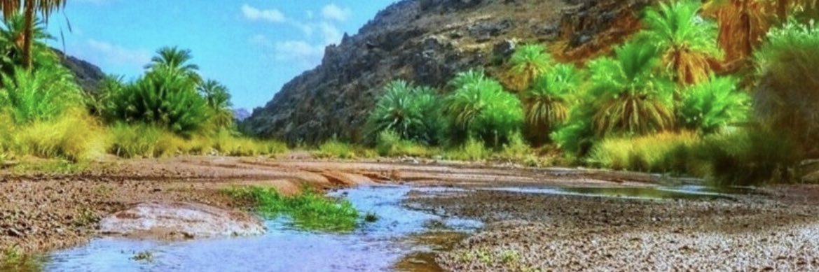 salm6547's profile banner image