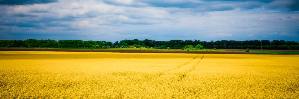 RussBars's profile banner image