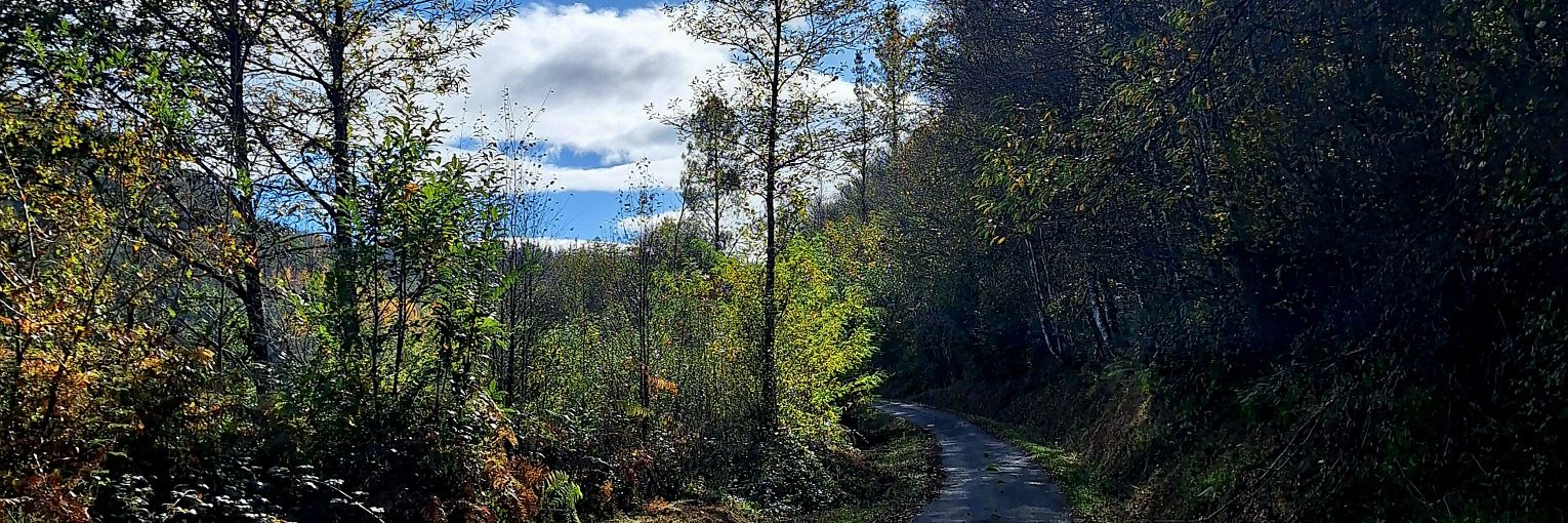 ADRi 🇵🇸 banner