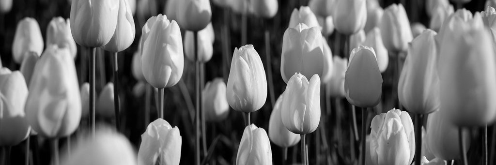 Ундрам  banner