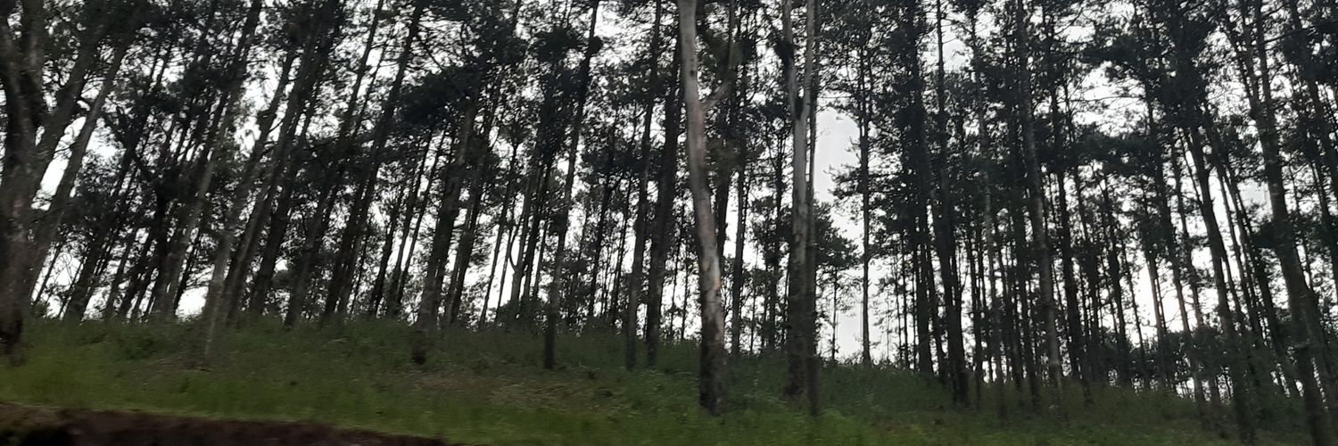 peterAV29's profile banner image