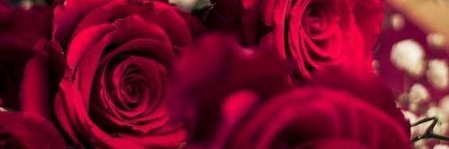 Fooz832's profile banner image