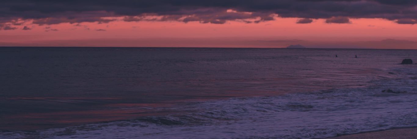 AdelineBonnette's profile banner image