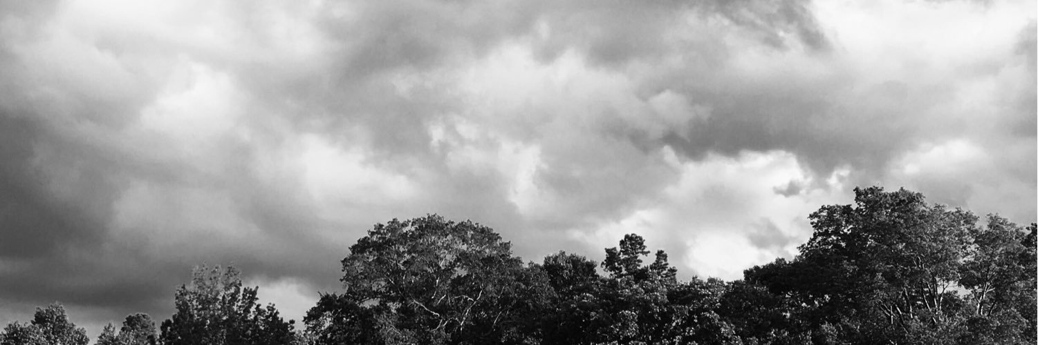 LouTheWolf's profile banner image