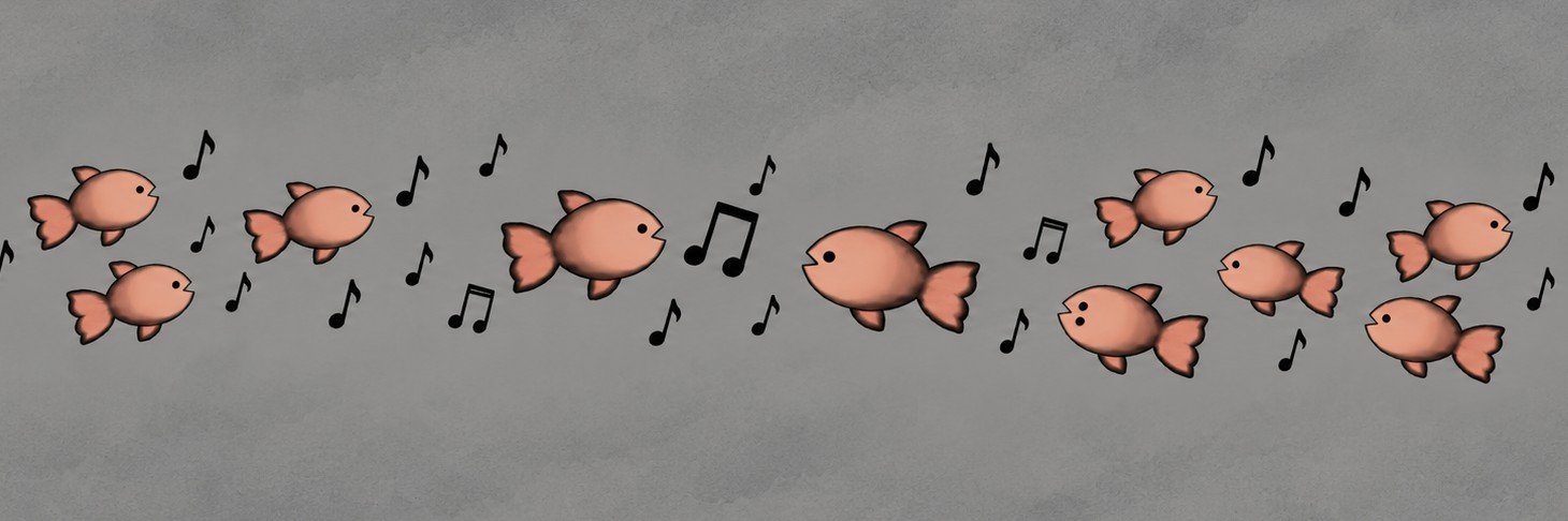 fischcop_'s profile banner image