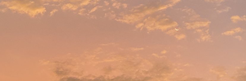 nilseiturbe's profile banner image