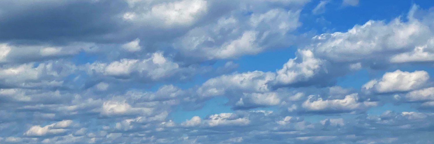 Dan Molinari banner