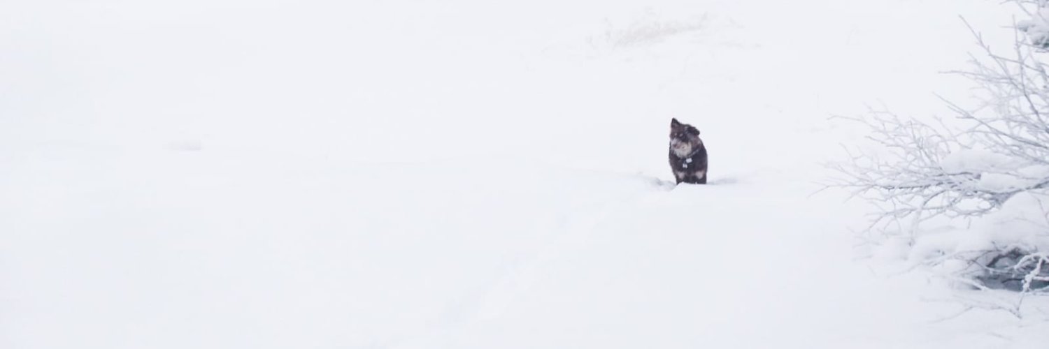 tta68's profile banner image