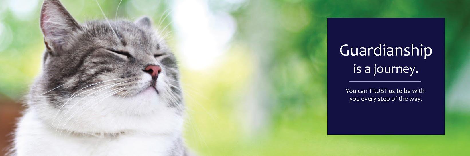 petplanetMPA's profile banner image
