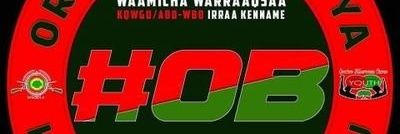 robaoromia's profile banner image