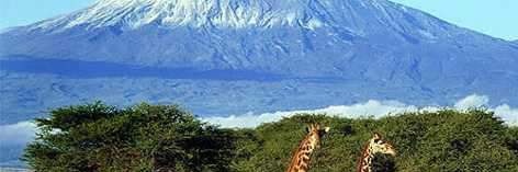 Mbarakatombo's profile banner image