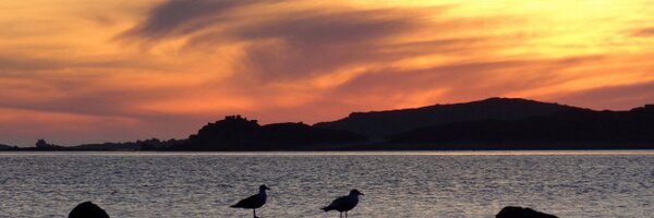 j_goodchild Profile Banner