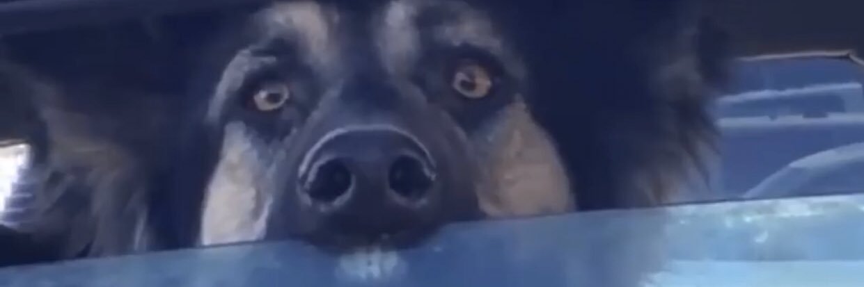 fonsomrtinez's profile banner image