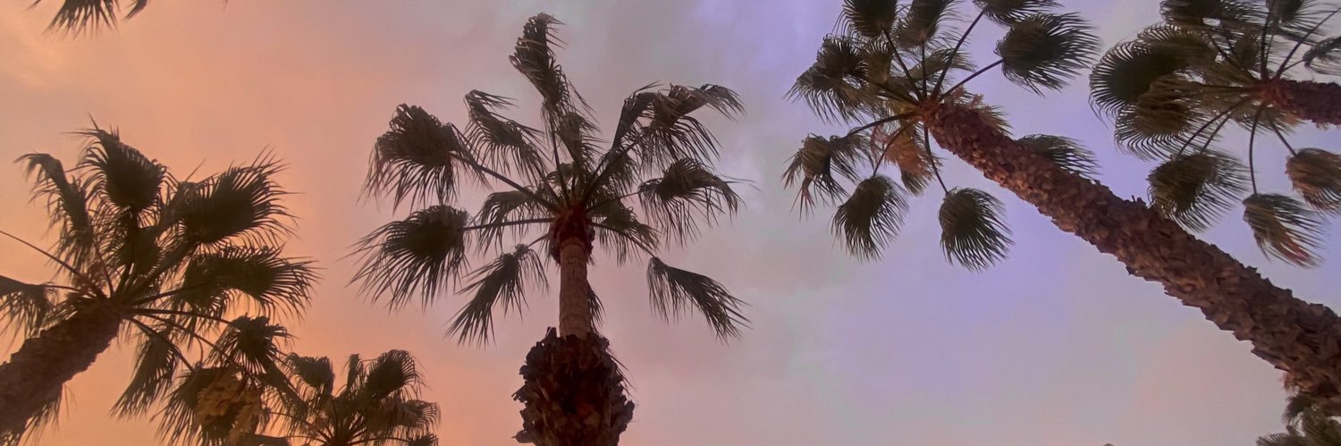 Ameliabardera's profile banner image