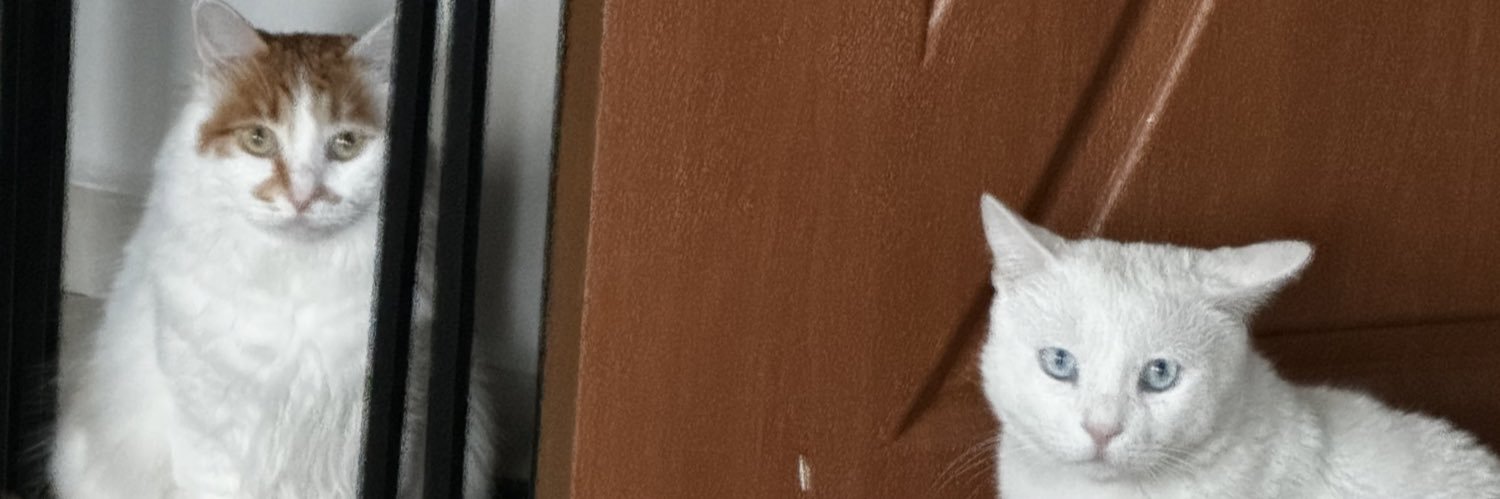SezaiBADILLI's profile banner image