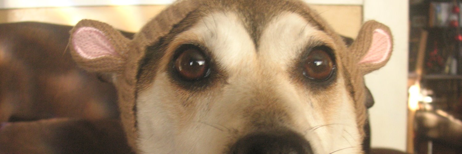 sofiaameriica's profile banner image