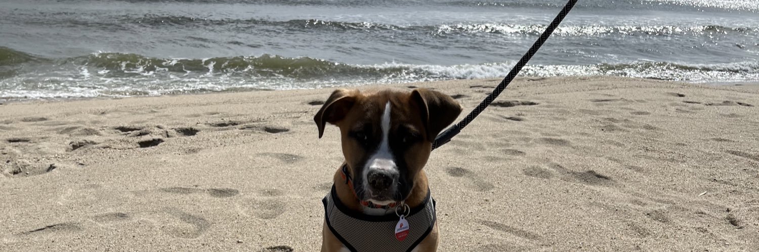 Bourbon and Jack Daniels (🌈RIP HARLEY 02/28/22) banner