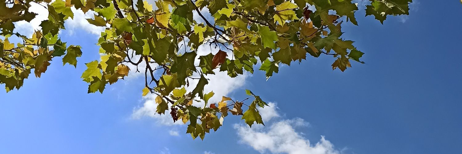 mrnlyt's profile banner image