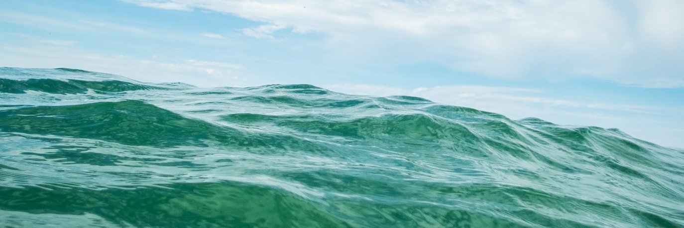 Stacey Lee Kerr 🌊 banner