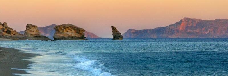 Catherine Chronaki banner