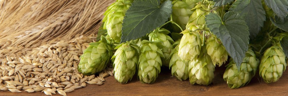 HomeBrewOhio's profile banner image