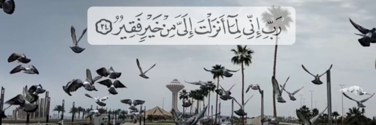 دليل فعاليات الشرقية🎗 banner