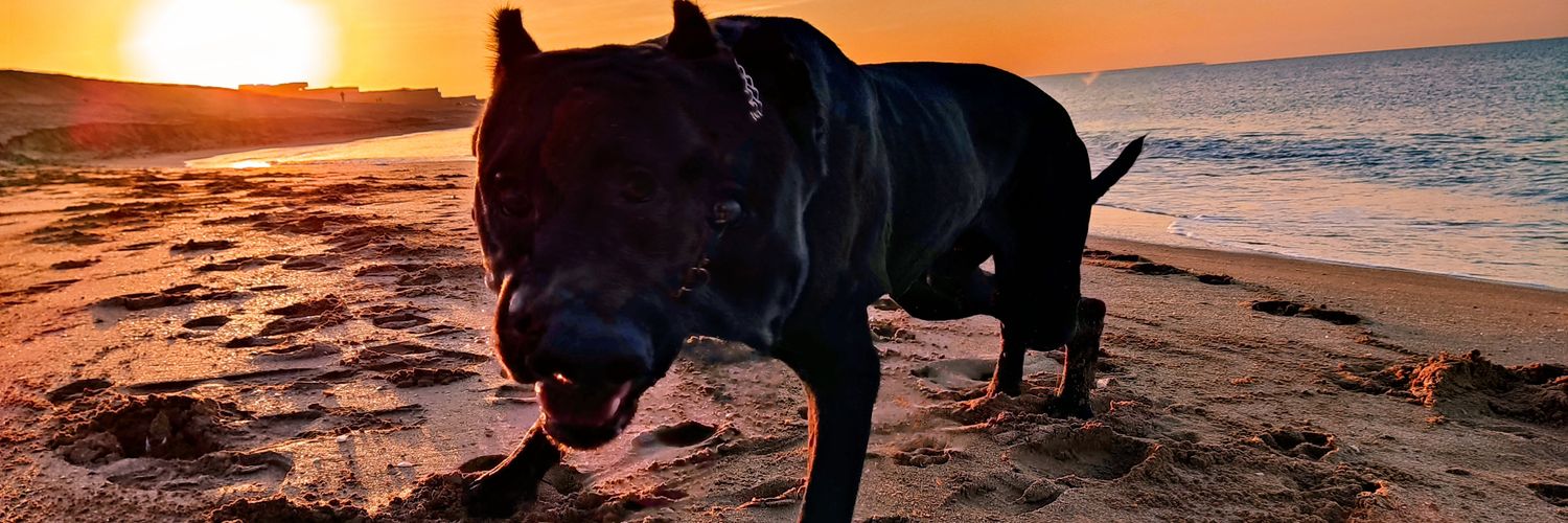 FendAmrahov's profile banner image
