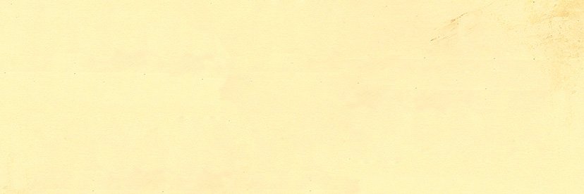 sylvain sylvain banner