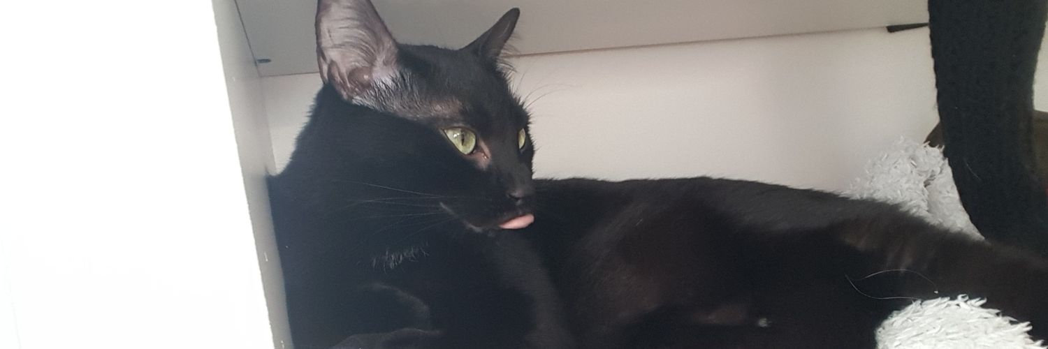 r_lvgn's profile banner image