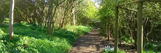 The Worthing Network banner