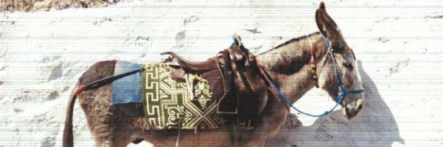 JosephHChrist's profile banner image
